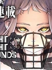 夏日回声动画海报