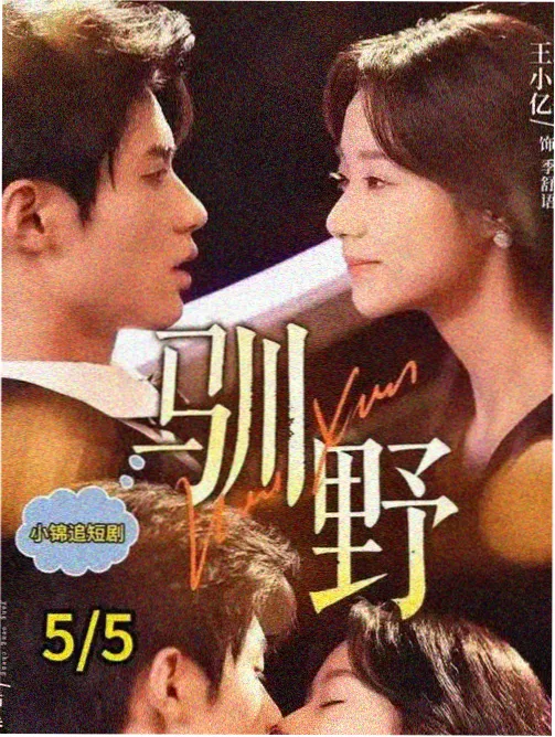 史密斯夫妇完整版叙事结构解析配图